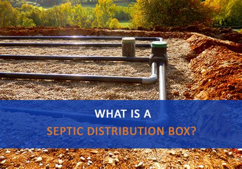 septic distribution box location